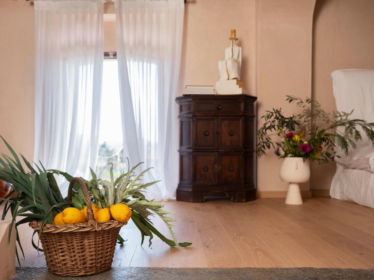 Paradis Agricole Пиетрасанта Екстериор снимка